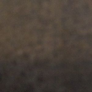 Meet your Posher, Hayli